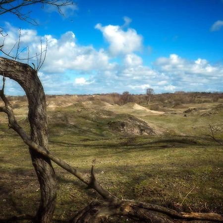 Hogezoom 131 Villa Renesse Eksteriør bilde