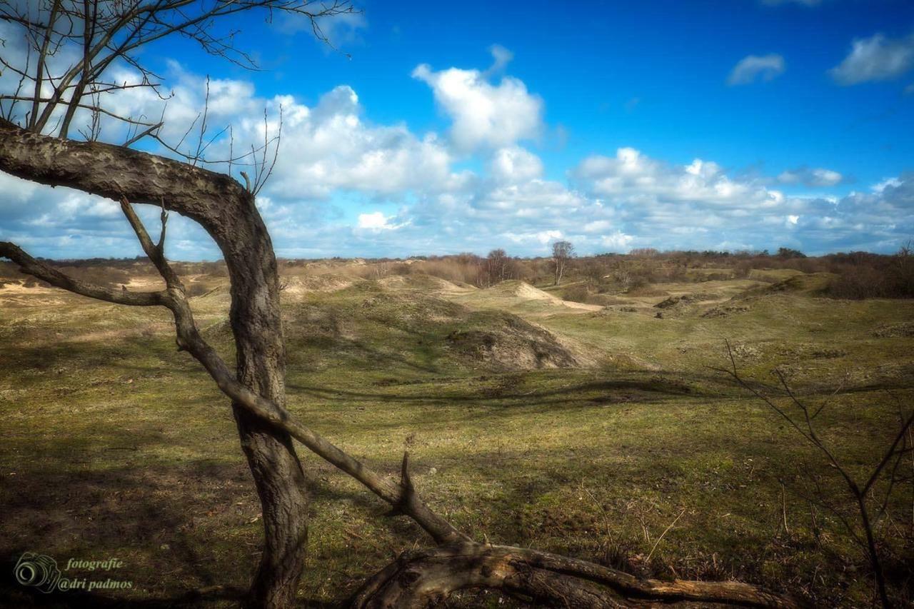 Hogezoom 131 Villa Renesse Eksteriør bilde